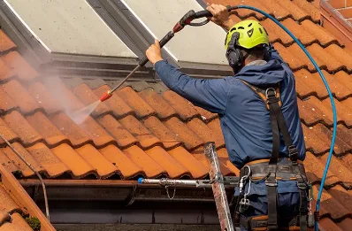 Démoussage et hydrofuge de toiture à Barbazan